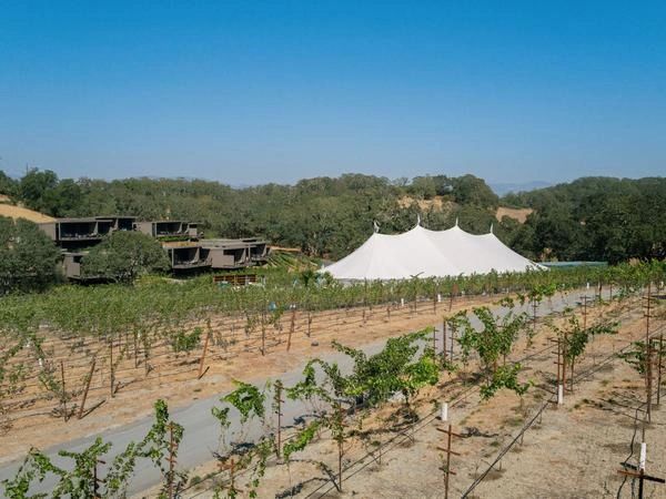 Montage Healdsburg Vineyard