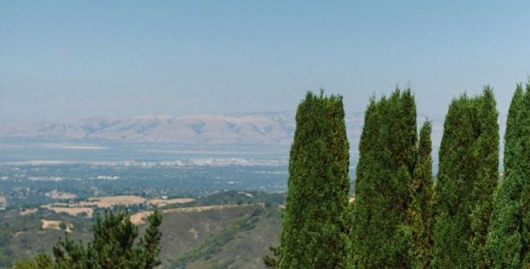 Thomas Fogarty Wedding