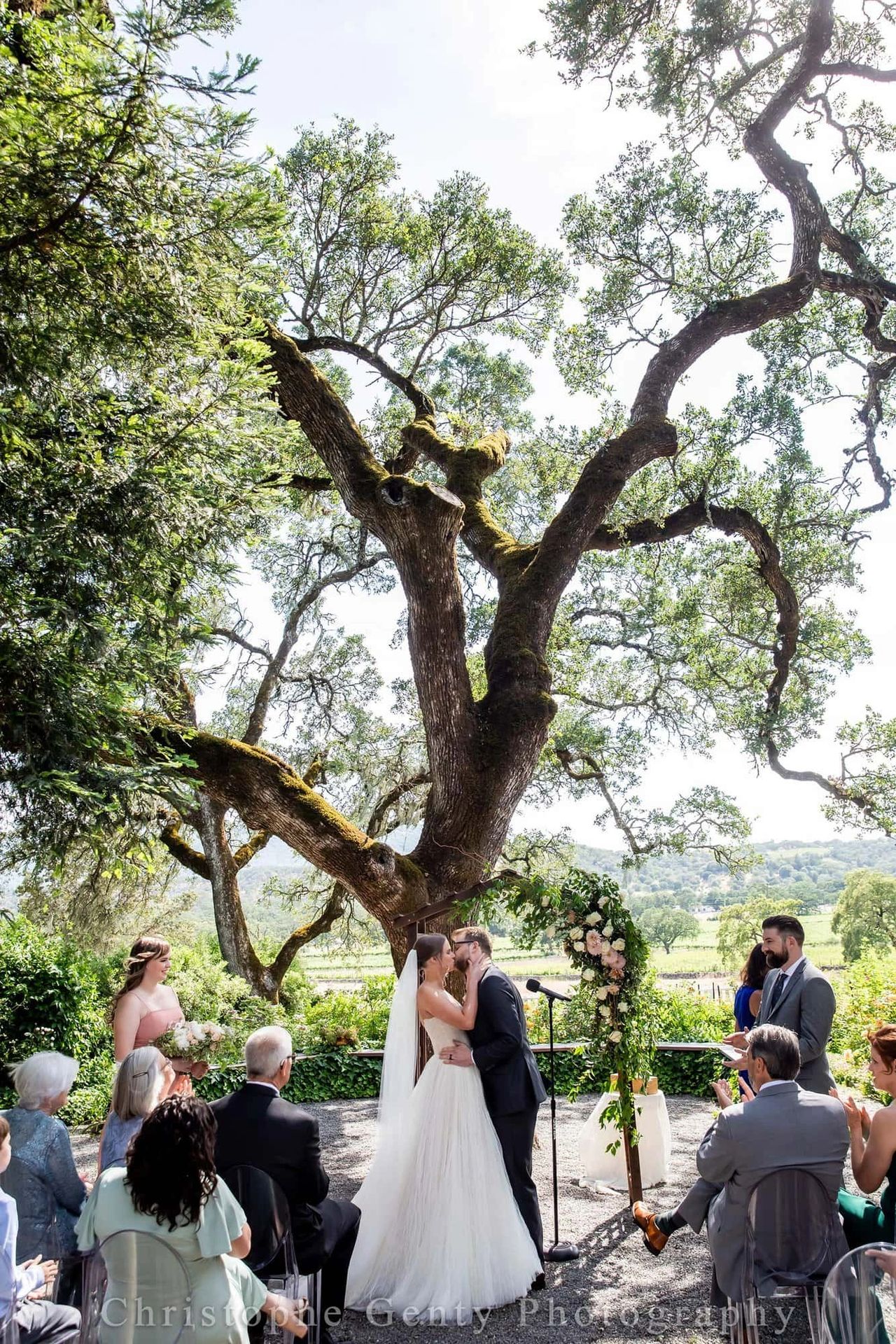 Beltane Ranch Ancient Oaks