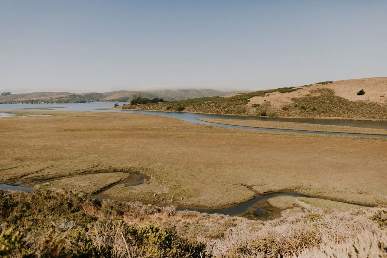 Straus Family Home Wedding