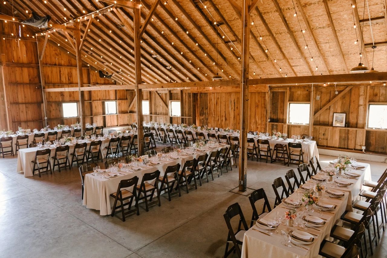 Straus Family Home Wedding