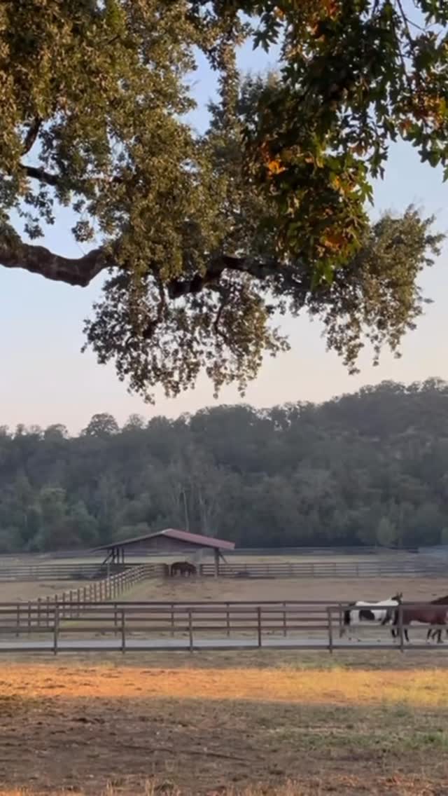 Alpine Ranch | I Do Venues